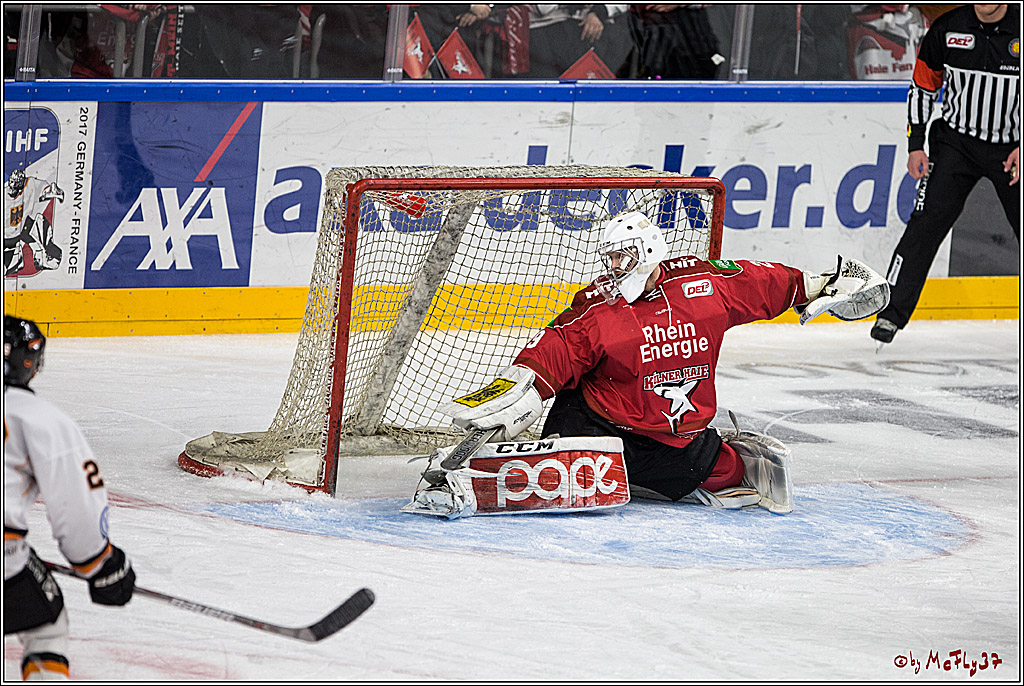 DEL, Koelner Haie - Grizzlys Wolfsburg, 07.03.2017